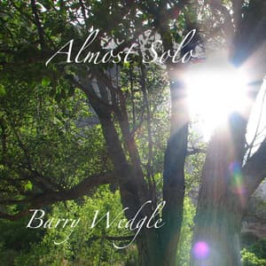 Almost Solo - Barry Wedgle