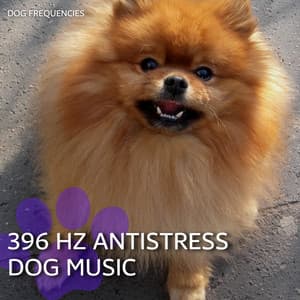 396 Hz Antistress Dog Music - Dog Music