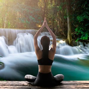 Serenity Sounds: Deep Meditation Music - Catch Your Dream