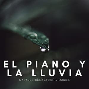 El Piano Y La Lluvia: Masajes, Relajación Y Música - Música clásica de piano de la nueva era