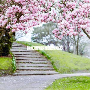 我们曾经相遇的地方 - Hotel Lounge Soundtracks