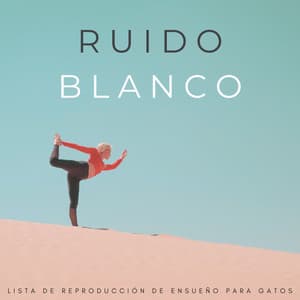 Ruido Blanco: Lista De Reproducción De Ensueño Para Gatos - Ruido blanco desestresante