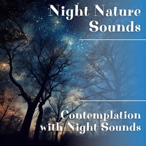 Contemplation with Night Sounds - Night Nature Sounds