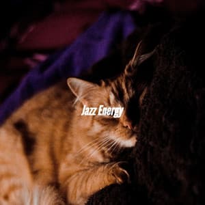 Jazz Energy - Relax & Read