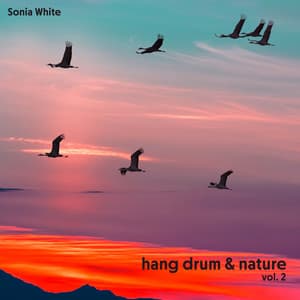 Hang Drum & Nature Vol. 2: Morning in the Woods - Sonia White