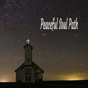 Peaceful Soul Path - Praise and Worship Orchestra