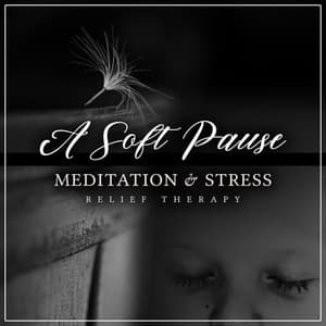 A Soft Pause - Meditation & Stress Relief Therapy