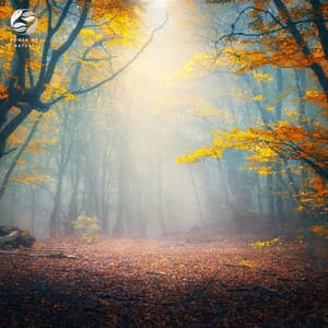 Piano Echoes Through Enchanted Woods - Soothing Ambient