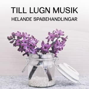 Till lugn musik: Helande spabehandlingar - Total vila och förnyelse, Rengöra din kropp och själ från dålig energi, Minska stress, Finna inre frid, Ta en regenereringsslummer - Lugn Spa Akademi