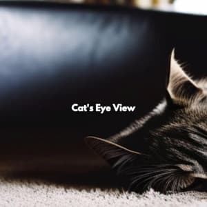 Cat's Eye View - Jazz Piano Instrumentals