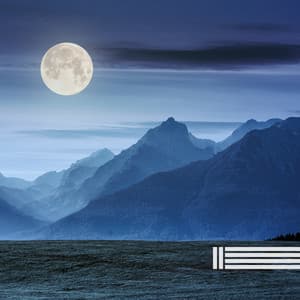 Cicada Sounds - Night Sounds