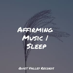 Affirming Music | Sleep - Rain Sounds XLE Library