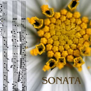 Sonata - Ludwig van Beethoven
