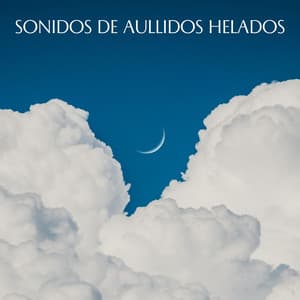 Sonidos De Aullidos Helados - Serie de sonidos de la naturaleza