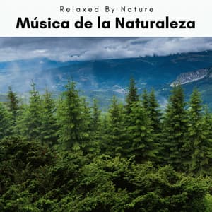 A Música de la Naturaleza - Naturaleza Sonidos