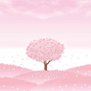 Here and Now - Relaxing Mindfulness Meditation Relaxation Maestro