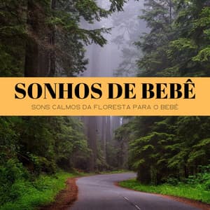 Sonhos De Bebê: Sons Calmos Da Floresta Para O Bebê - Música Relax para Bares