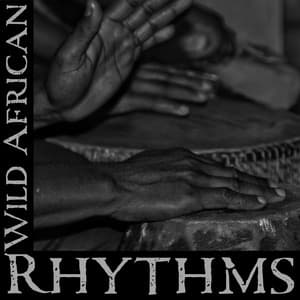 Wild African Rhythms: Tribal Drums and Music - Ultimate Music Academy