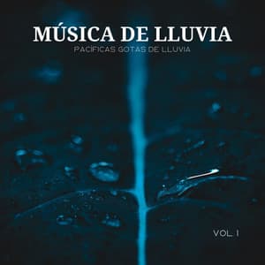 Música De Lluvia: Pacíficas Gotas De Lluvia Vol. 1 - Agua Del Mar