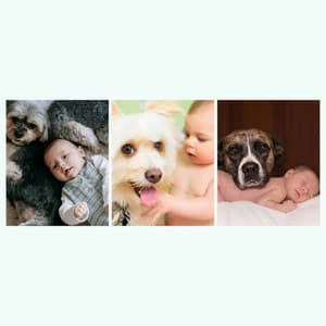 Backdrop for Doggy Bedtime - Smooth Jazz - Dog Sleep Dreams