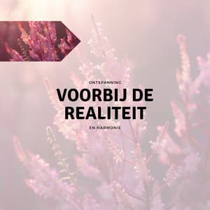 Voorbij de Realiteit - Ontspanning en Harmonie