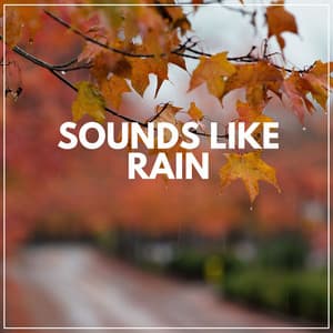 Sounds Like Rain - Rain Man Sounds