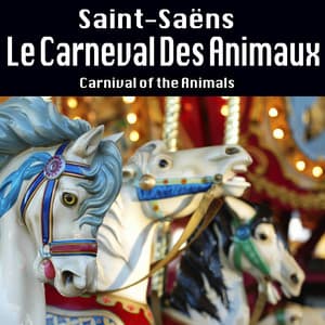 Le Carneval Des Animaux - South German Philharmonic Orchestra