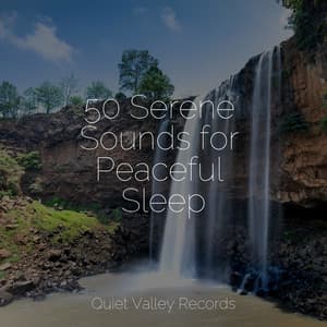 50 Serene Sounds for Peaceful Sleep - Deep Sleep Relaxation
