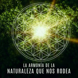 La Armonía de la Naturaleza Que Nos Rodea: Los Mejores Sonidos para Relajación y Meditación, Reiki, Masajes, Yoga, Máximo Equilibrio y Bienestar - Relajación Yoga Conjunto