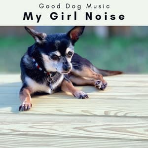 4 Dogs: My Girl Noise - Good Dog Music