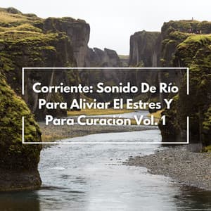 Corriente: Sonido De Río Para Aliviar El Estres Y Para Curación Vol. 1 - Etiqueta de la naturaleza