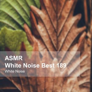 White Noise ASMR Best 189 - White Noise