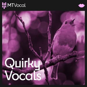 Quirky Vocals - Alexander L'Estrange