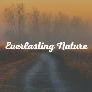 Everlasting Nature - Weather and Nature Recordings