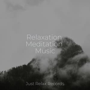 Relaxation Meditation Music - Lounge relax