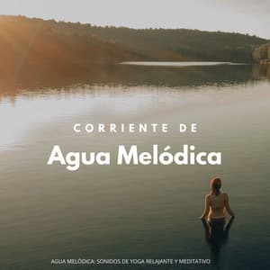 Corriente De Agua Melódica: Sonidos De Yoga Relajante Y Meditativo - Sonidos De Agua