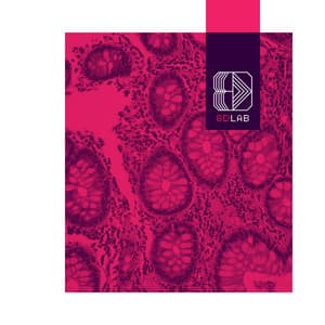 Peaceful Sounds - 8D Lab - Relaxing Music