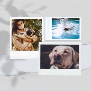 Music for Sweetest Dogs - Relaxing Dog Music Playlists