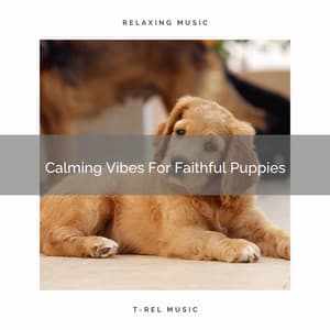 Calming Vibes For Faithful Puppies - Sleep Doggie