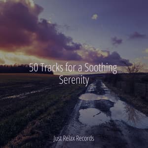 50 Tracks for a Soothing Serenity - kinderliedjes