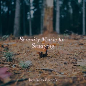 Serenity Music for Studying - Powerthoughts Meditation Club