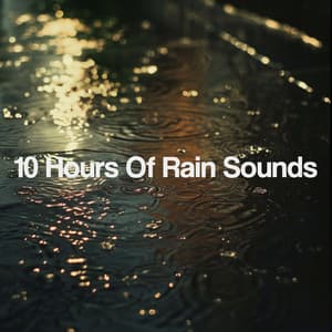10 Hours Of Rain Sounds - Meditation Rain Sounds