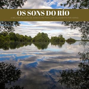 Os Sons Do Río: A Melhor Seleção De Sons Do Río Para Ler Calmamente Por Horas - #Calmante