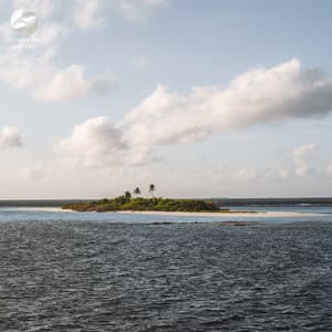Piano Amidst Nature's Whispers - Zambezi Sounds