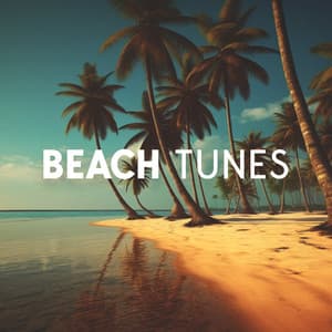 Beach Tunes: Tropical Vacation - Ibiza DJ Rockerz