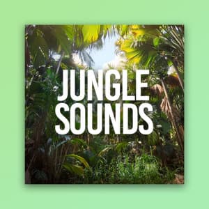 Jungle Sounds - Spa Music