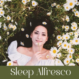 Sleep Alfresco - Sleeping Music Zone