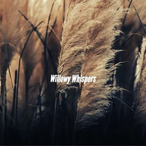 Willowy Whispers - The Happy Jazz Lounge