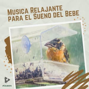 Música Relajante para el Sueño del Bebé - #Calmante