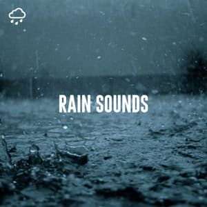 Rain Sounds - Relaxing Rain Recordings